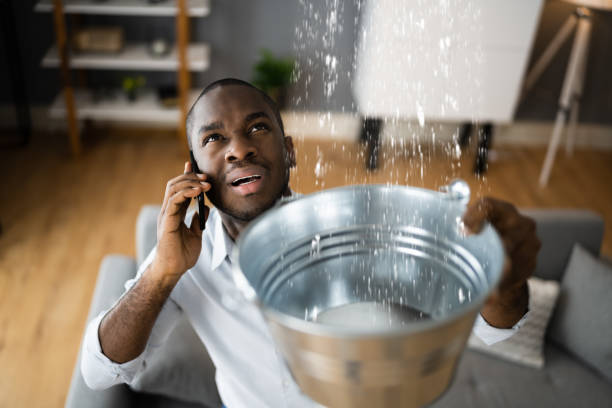 Best Sewage cleanup and water damage restoration  in Eloy, AZ