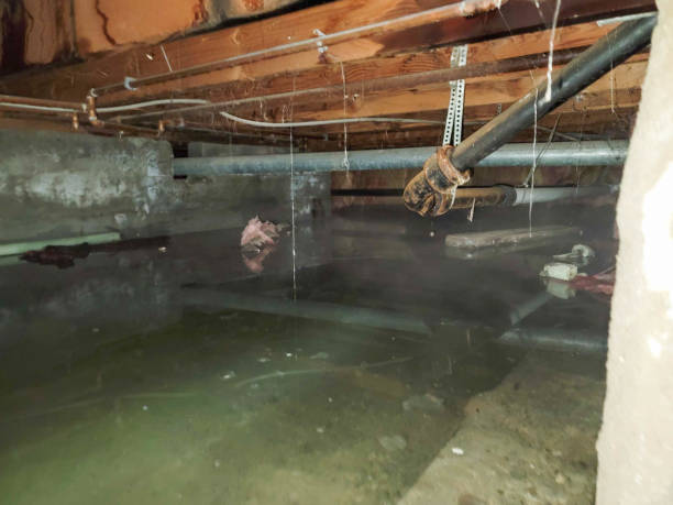 Best Water damage restoration near me  in Eloy, AZ