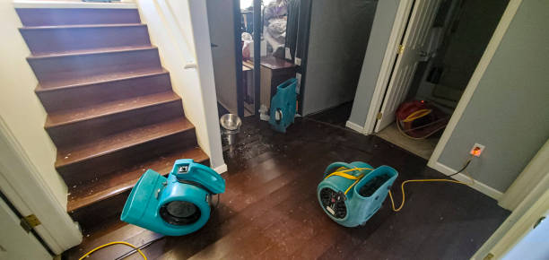 Local water damage restoration in Eloy, AZ