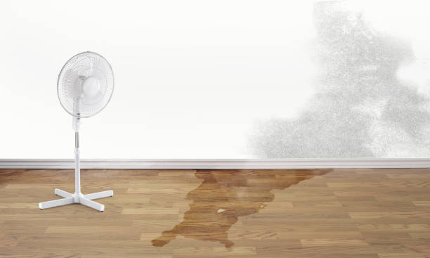 Best Water damage restoration near me  in Eloy, AZ