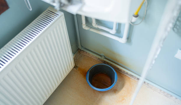 Best Mold removal after water damage  in Eloy, AZ