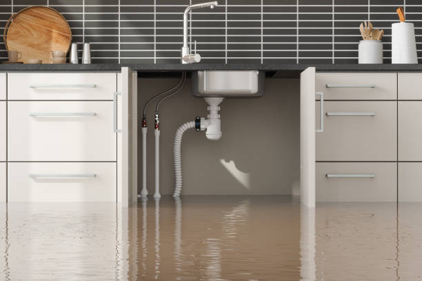 Trusted Eloy, AZ Water damage restoration Experts