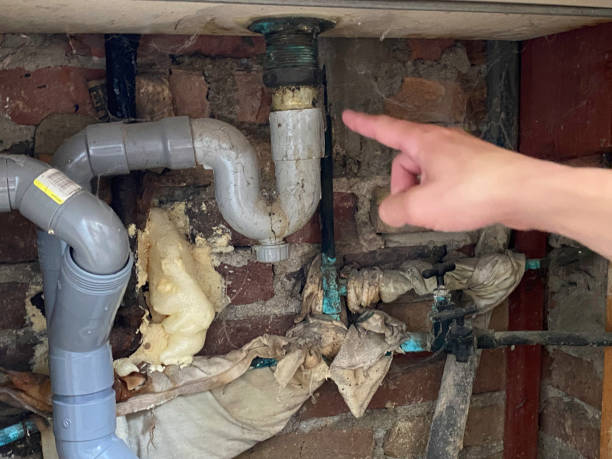 Best Water damage restoration insurance claims  in Eloy, AZ